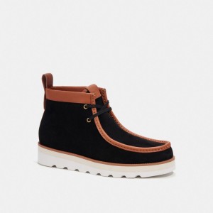 Black Men COACH® Chukka Boots | NZ EBD102