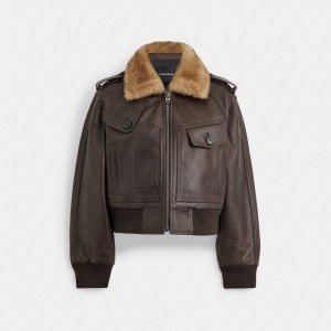 Brown Women COACH® Cropped Leather Jacket | NZ GSD426