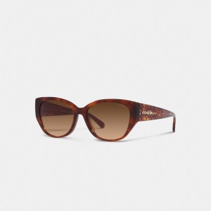 Brown Women COACH® Signature Rounded Cat Eye Sunglasses | NZ MQF697