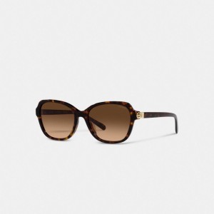 Brown / Black Women COACH® Hinged Horse And Carriage Square Sunglasses | NZ DFQ684