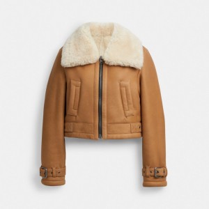 Brown / Multicolor Women COACH® Cropped Shearling Aviator Coat | NZ BEW388