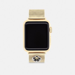 Gold Women COACH® Apple Strap, 38 Mm, 40 Mm And 41 Mm Watch | NZ ANZ 609