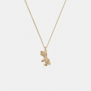 Gold Women COACH® Pavé Rexy Necklace | NZ KOP585