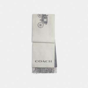 Grey Women COACH® Horse And Carriage Cashmere Muffler Scarf | NZ DFE659