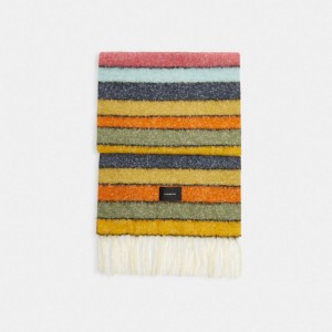 Multicolor Women COACH® Striped Muffler Scarf | NZ TNZ 667