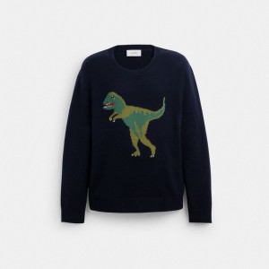 Navy Women COACH® Rexy Crewneck Sweater | NZ KOF481