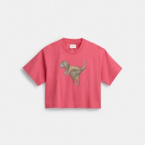 Pink Women COACH® Rexy Cropped T Shirts | NZ AHA505