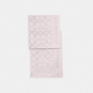 Pink Women COACH® Signature Stole Scarf | NZ KON654