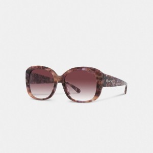 Purple Women COACH® Signature Oversized Square Sunglasses | NZ BNZ 695