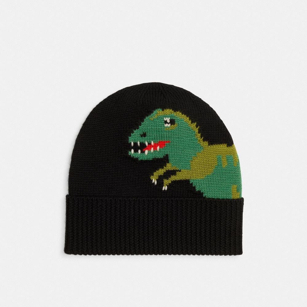 Black Men COACH® Rexy Knit Beanie | NZ EBW253