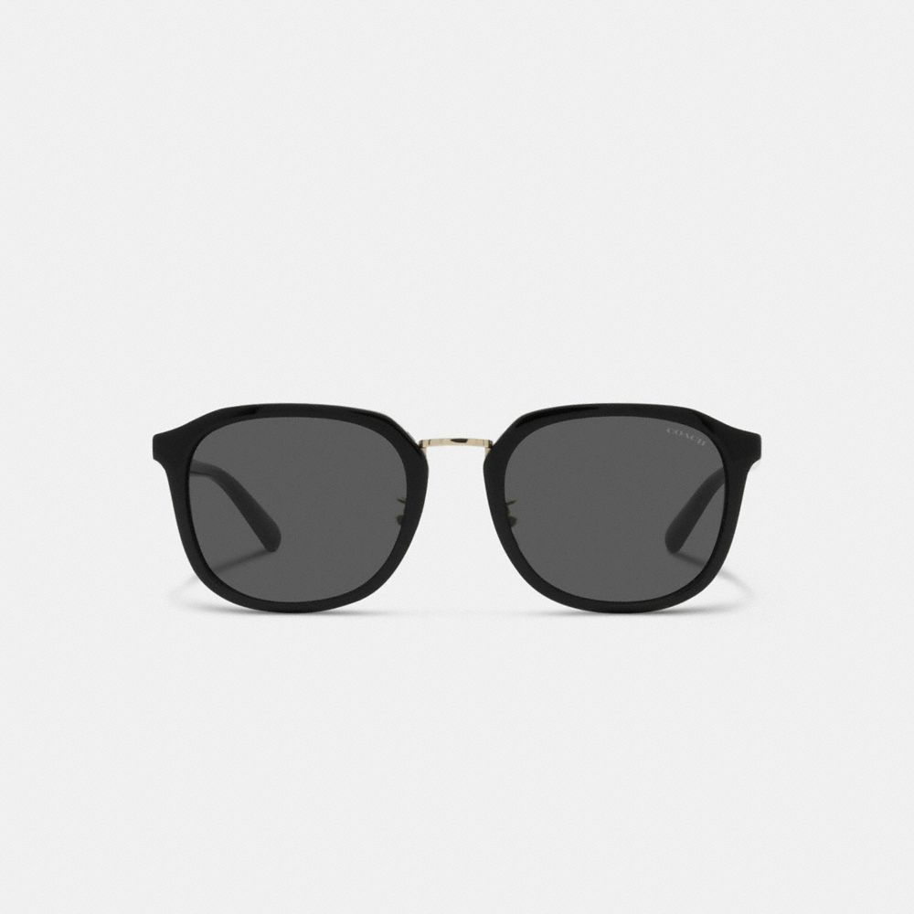 Black Women COACH® Rounded Geometric Sunglasses | NZ CTP693