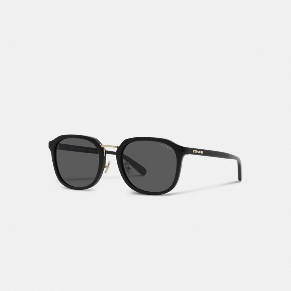 Black Women COACH® Rounded Geometric Sunglasses | NZ CTP693