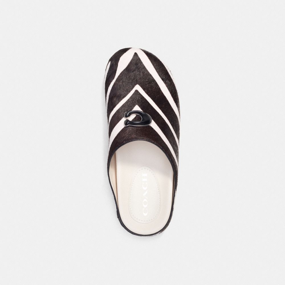 Black / White Women COACH® Hadley Slipper Sandals | NZ SGH348