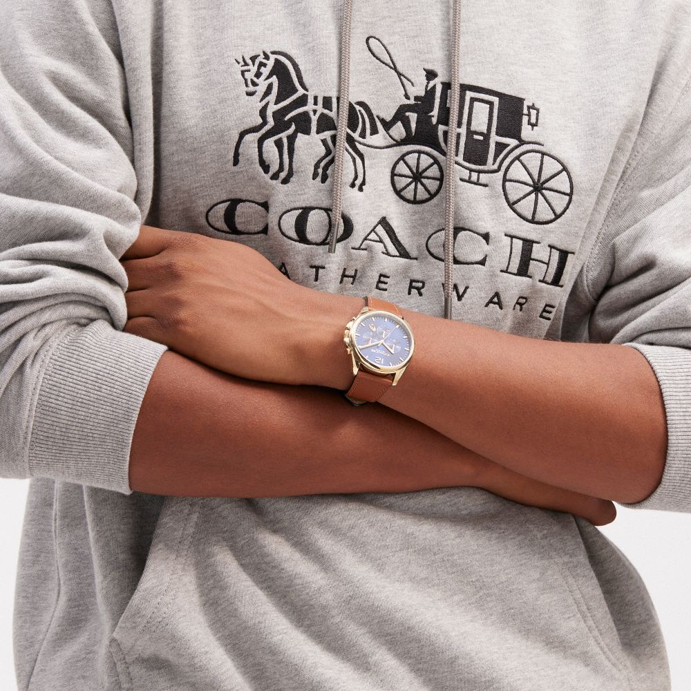 Brown Women COACH® Greyson, 43 Mm Watch | NZ QMJ619