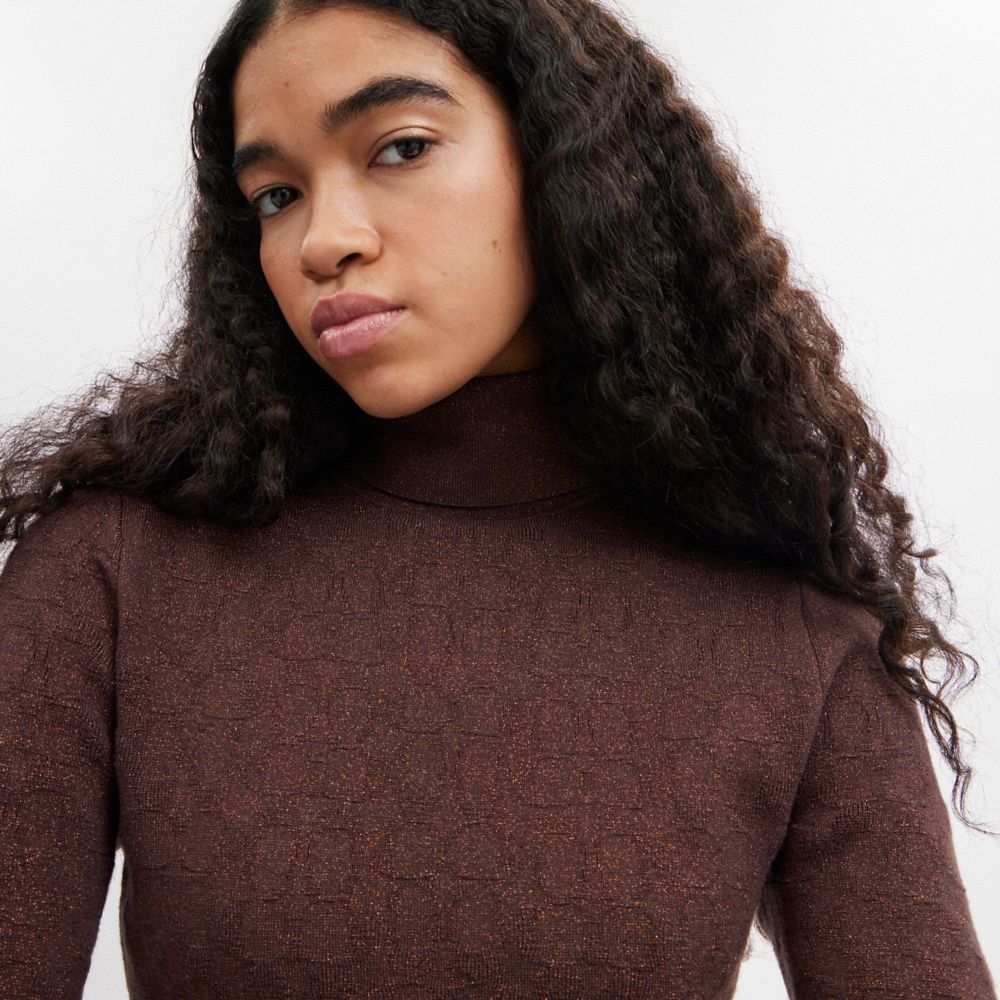 Brown Women COACH® Lurex Signature Turtleneck Sweater | NZ FDP477