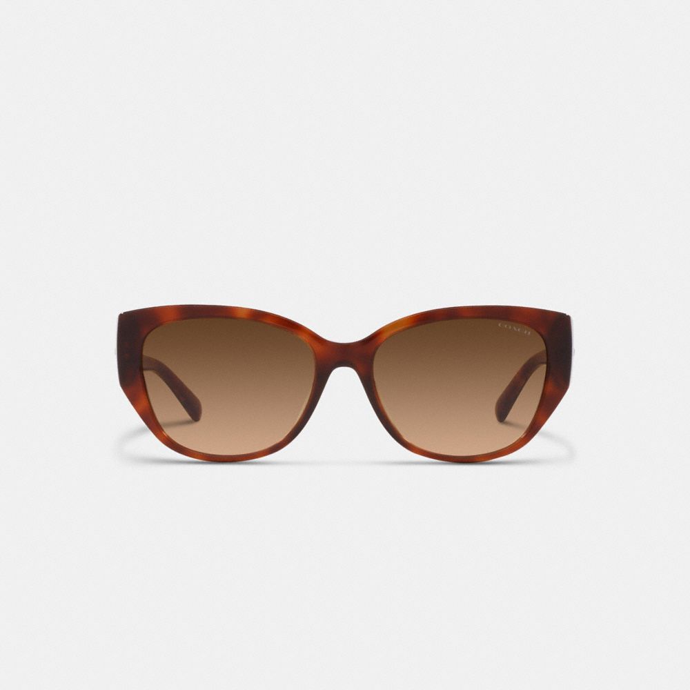 Brown Women COACH® Signature Rounded Cat Eye Sunglasses | NZ MQF697