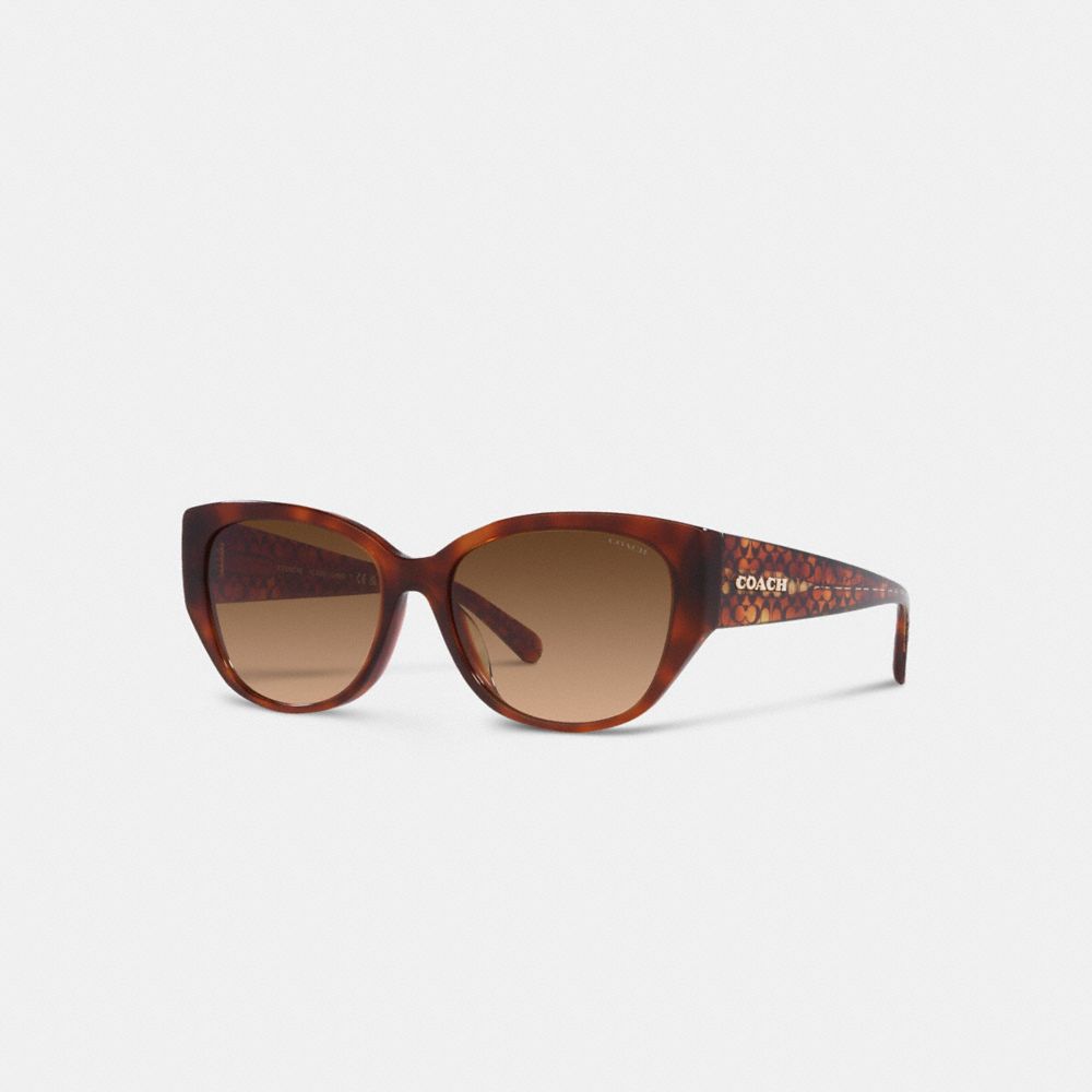 Brown Women COACH® Signature Rounded Cat Eye Sunglasses | NZ MQF697