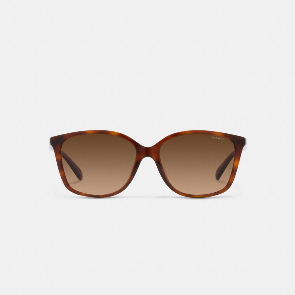 Brown / Black Women COACH® Embedded Wire Square Sunglasses | NZ PJN681