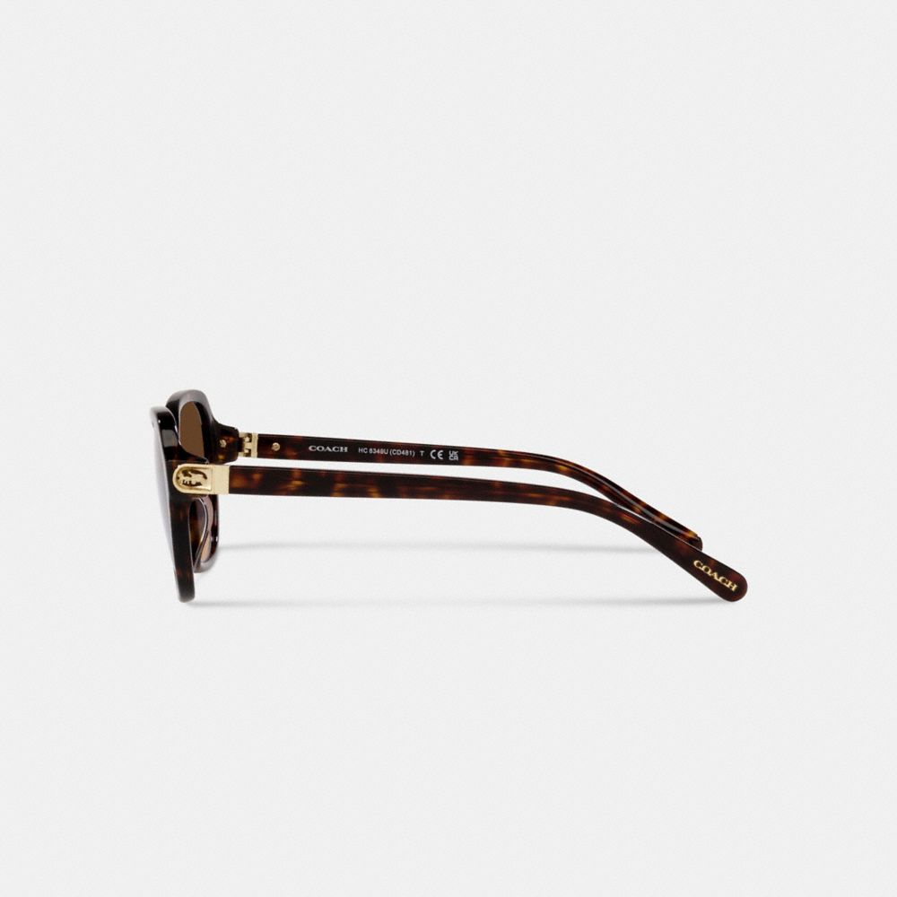 Brown / Black Women COACH® Hinged Horse And Carriage Square Sunglasses | NZ DFQ684