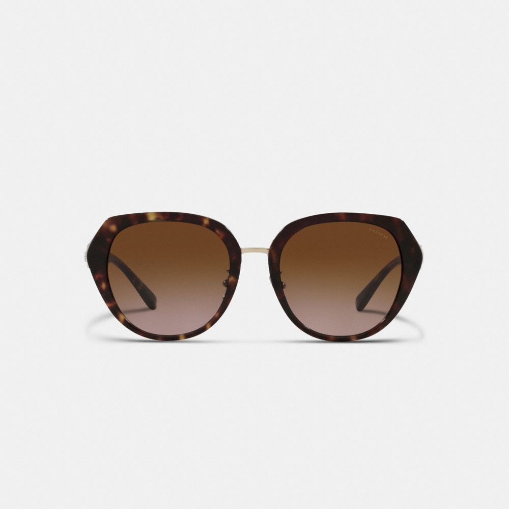 Brown / Black Women COACH® Horse And Carriage Oversized Round Sunglasses | NZ HAR687