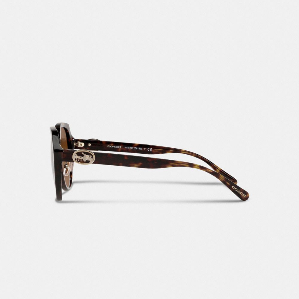 Brown / Black Women COACH® Horse And Carriage Oversized Round Sunglasses | NZ HAR687