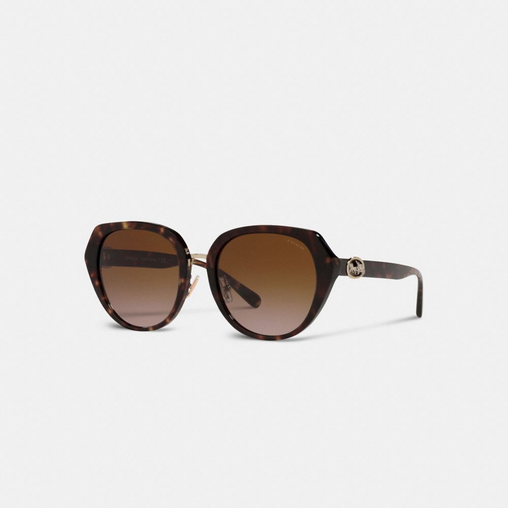 Brown / Black Women COACH® Horse And Carriage Oversized Round Sunglasses | NZ HAR687