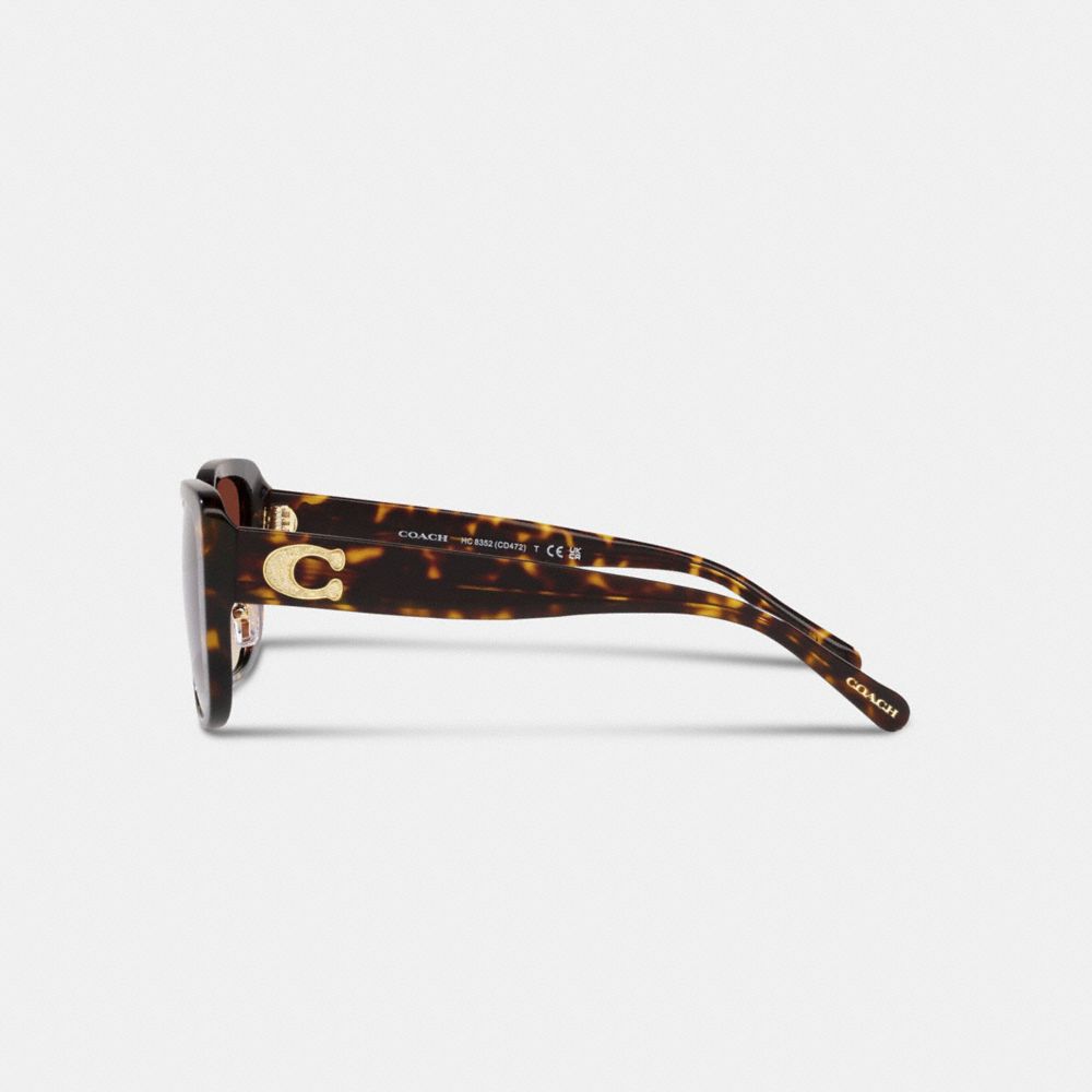 Brown / Black Women COACH® Tabby Oversized Square Sunglasses | NZ VRK701