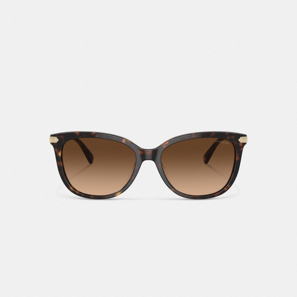 Brown / Black Women COACH® Wrap Around Hangtag Square Sunglasses | NZ ZUX704