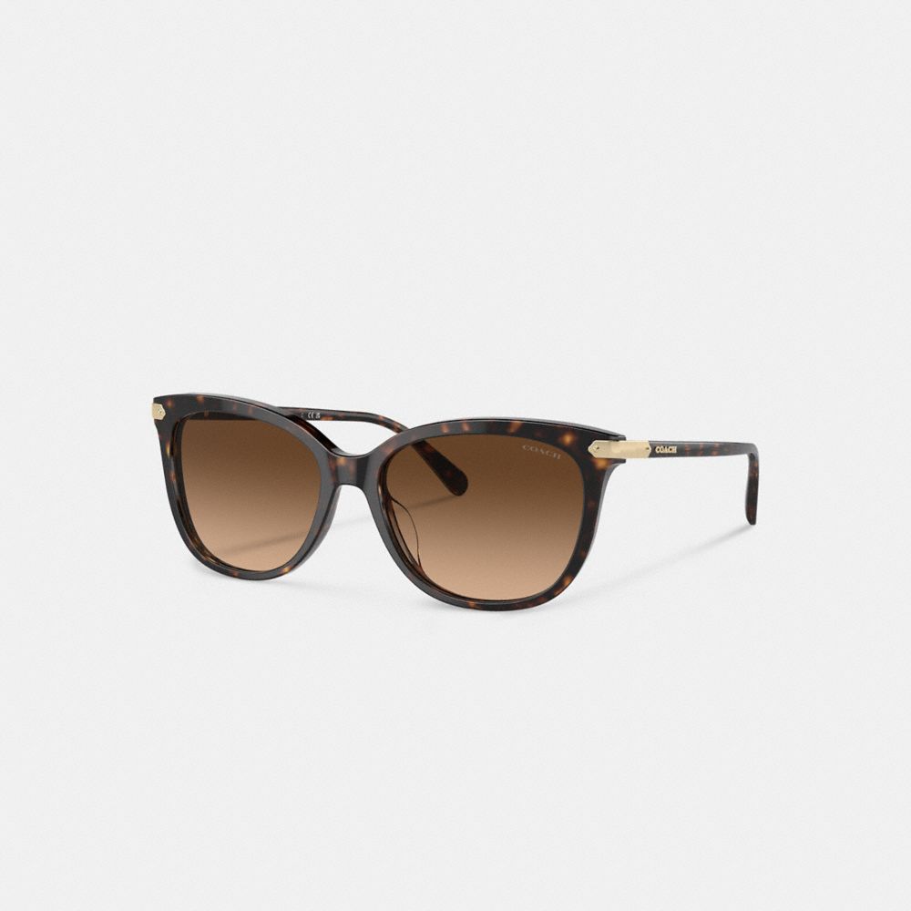 Brown / Black Women COACH® Wrap Around Hangtag Square Sunglasses | NZ ZUX704