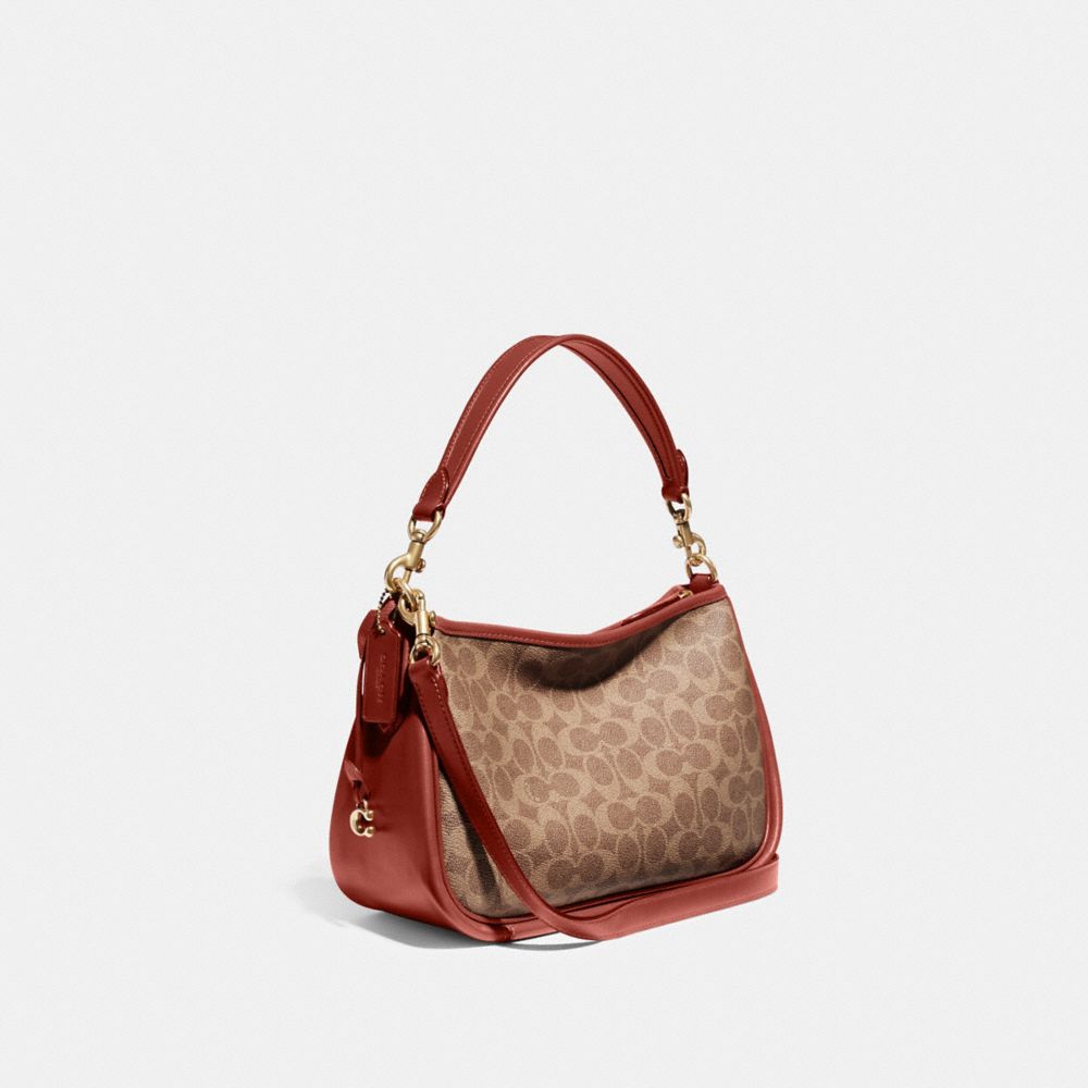 Brown / Red Women COACH® Cary In Signature Canvas Crossbody Bag | NZ ILR768