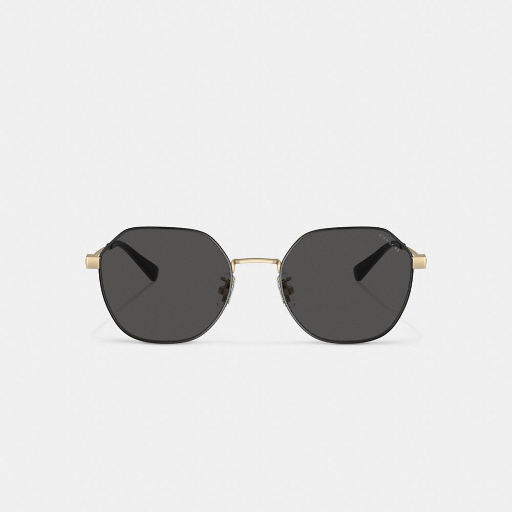 Gold / Black Men COACH® Hinged Geometric Round Sunglasses | NZ CTM277