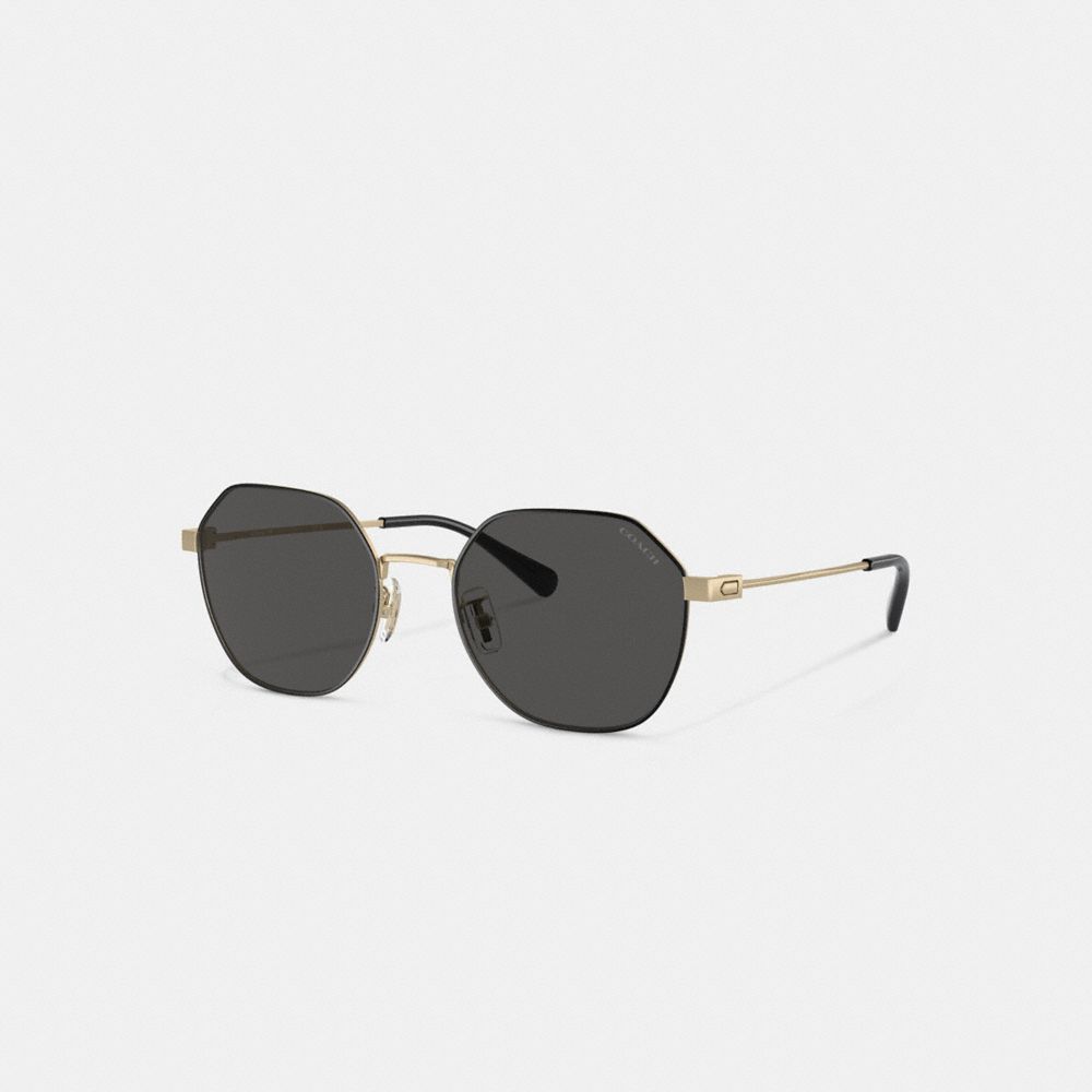 Gold / Black Men COACH® Hinged Geometric Round Sunglasses | NZ CTM277