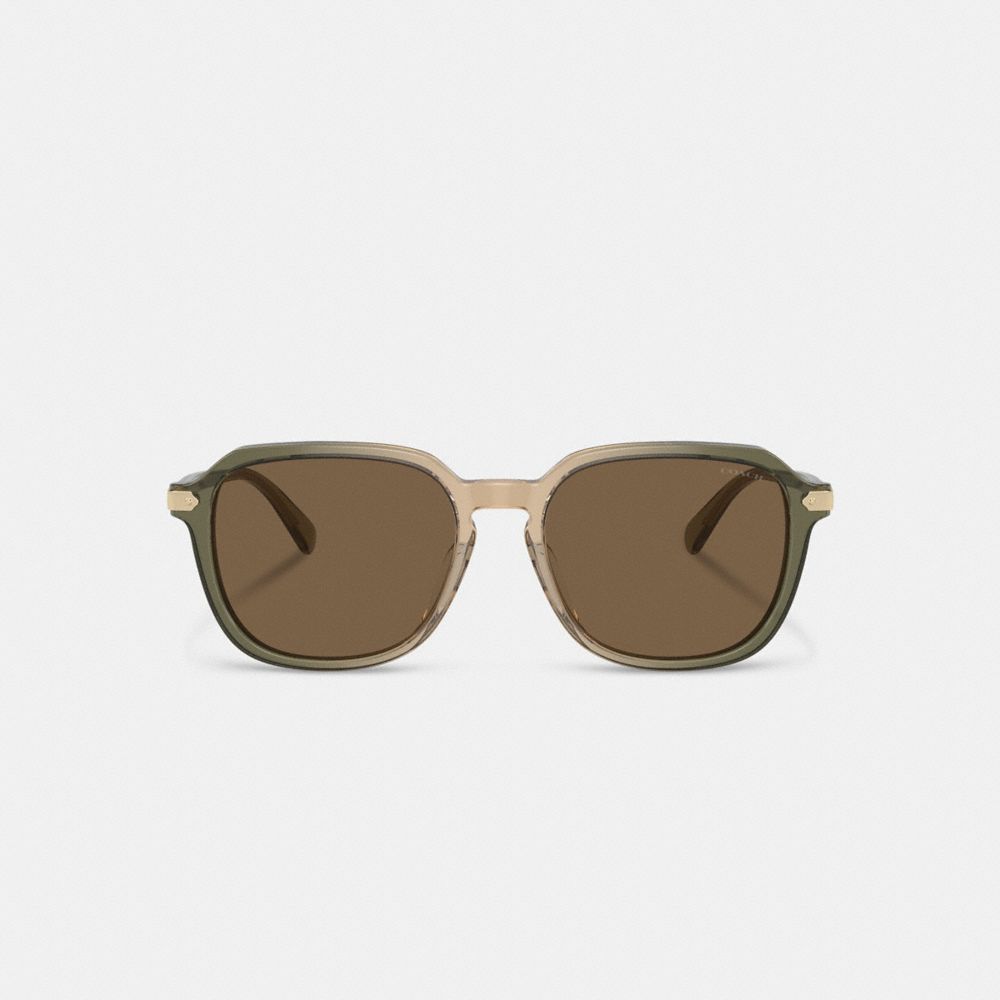 Green / Brown Men COACH® Wrap Around Hangtag Keyhole Sunglasses | NZ MQE281