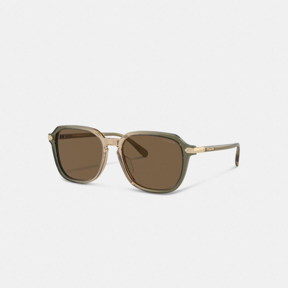 Green / Brown Men COACH® Wrap Around Hangtag Keyhole Sunglasses | NZ MQE281