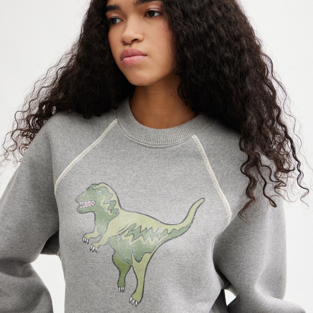 Grey Women COACH® Rexy Crewneck Sweatshirt | NZ MQC489