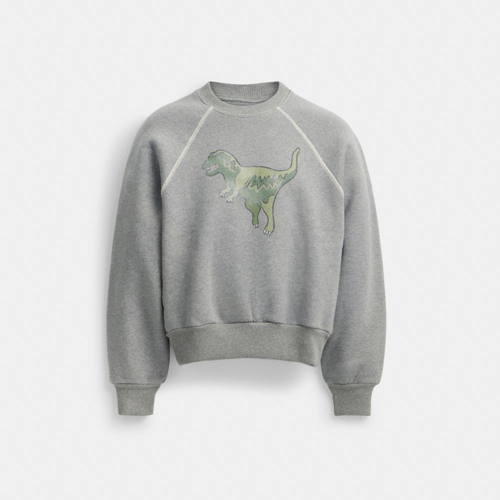 Grey Women COACH® Rexy Crewneck Sweatshirt | NZ MQC489