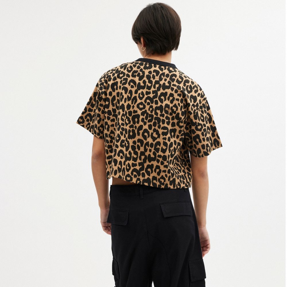 Leopard Women COACH® Leopard Cursive Signature Cropped T Shirts | NZ FDI502