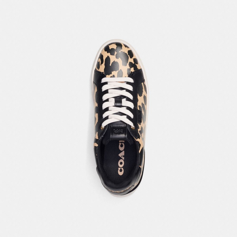 Leopard Women COACH® Lowline Low Top With Print Sneakers | NZ LIL378