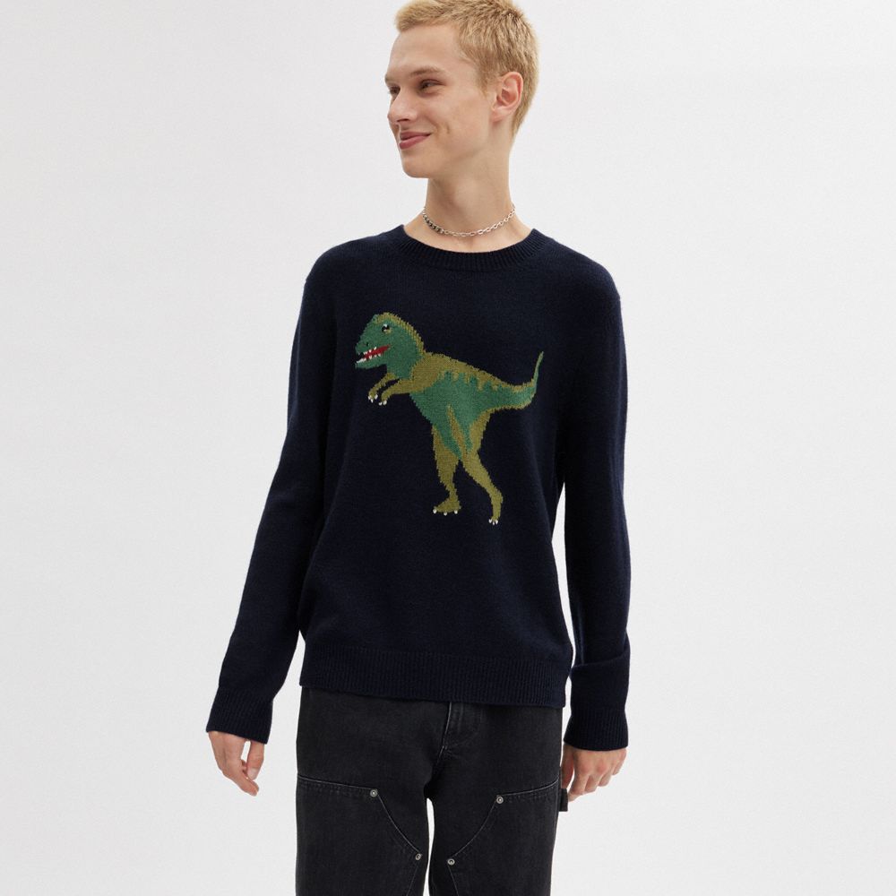 Navy Women COACH® Rexy Crewneck Sweater | NZ KOF481