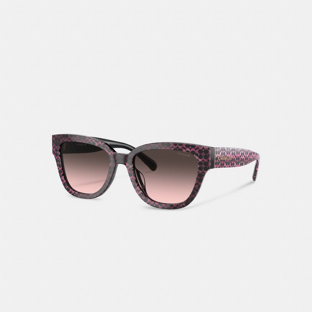 Pink Women COACH® Signature Round Sunglasses | NZ NWD696